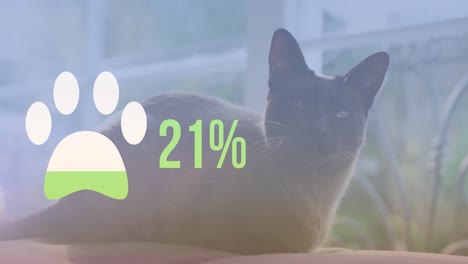 animación de la pata del gato llenándose de verde y porcentaje sobre el gato