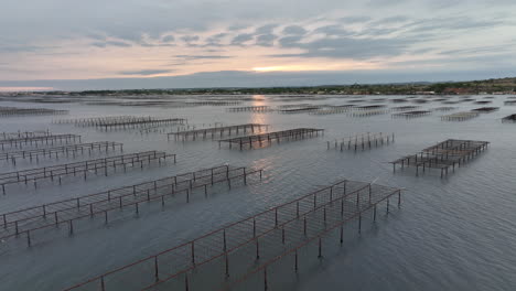 sunset over etang de thau provides a stunning view of its oyster cultivation fro