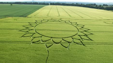 flower crop circle design over fresh green fields near potterne, wiltshire county, england