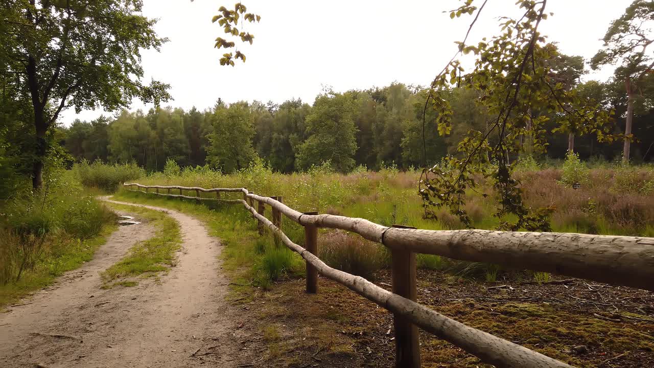 camino de tierra en el bosque, a lo largo de un campo rodeado por una valla de madera