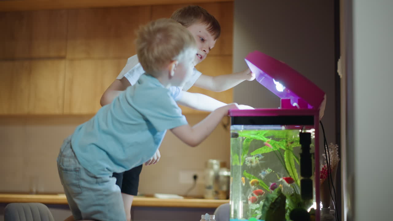Two young boys lean toward aquarium filled with colorful tropical fish, one boy reaches hand near top of tank with fascination while other watches closely,supplies on wooden table in cozy kitchen