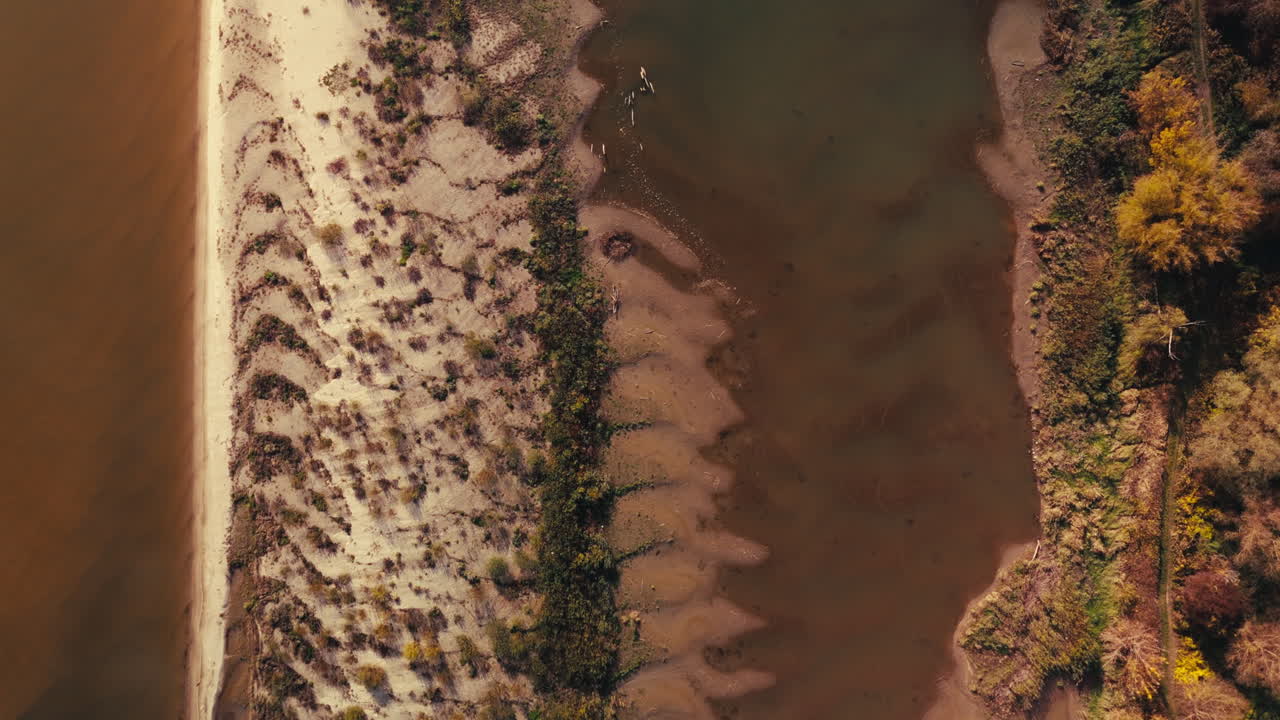 Aerial view of a beach, sand dunes, and river in autumn