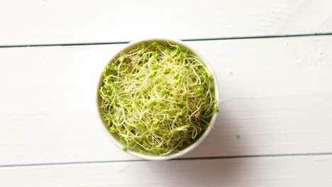 Bowl-full-of-fresh-radish-sprouts-placed-on-white-wooden-background