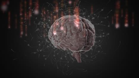 ilustración en 3d del cerebro humano