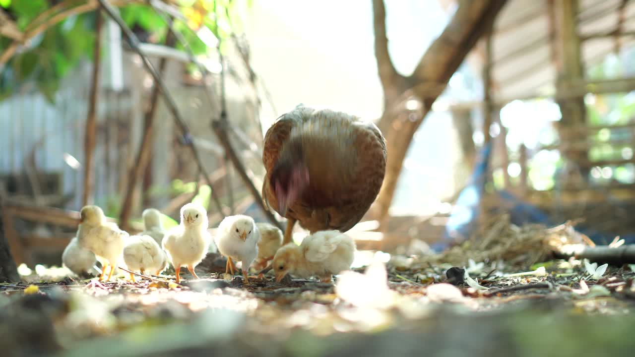 자연에서 을 키우는