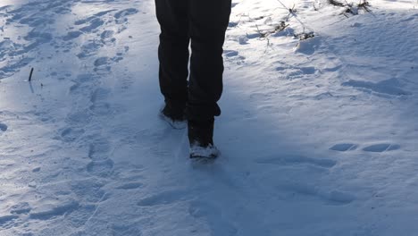 Step-on-Snow-Close-up