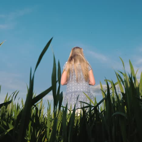 A-Child-Stands-In-The-High-Grass-Against-The-Blue-Sky