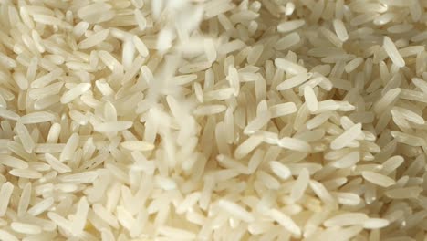 close up of uncooked white rice