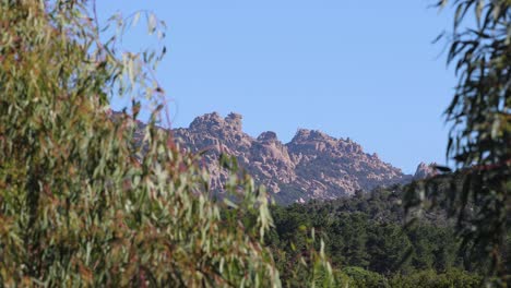 a view behind leafy trees blowing in breeze and seven brothers mountain hills in the background