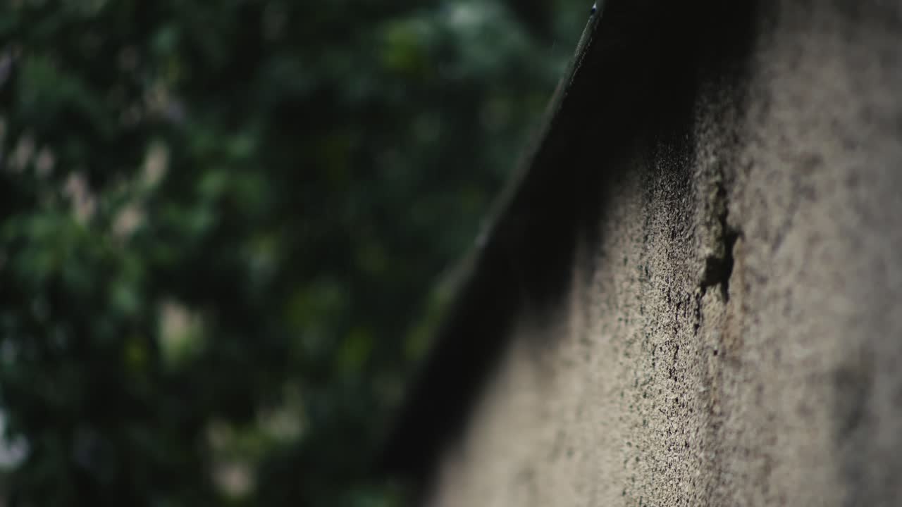 Raindrops dripping down cracked wall rendering Low angle select focus