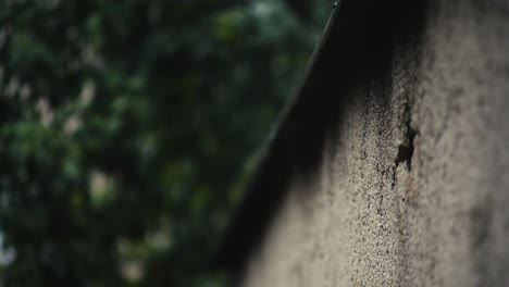 raindrops dripping down cracked wall rendering low angle select focus