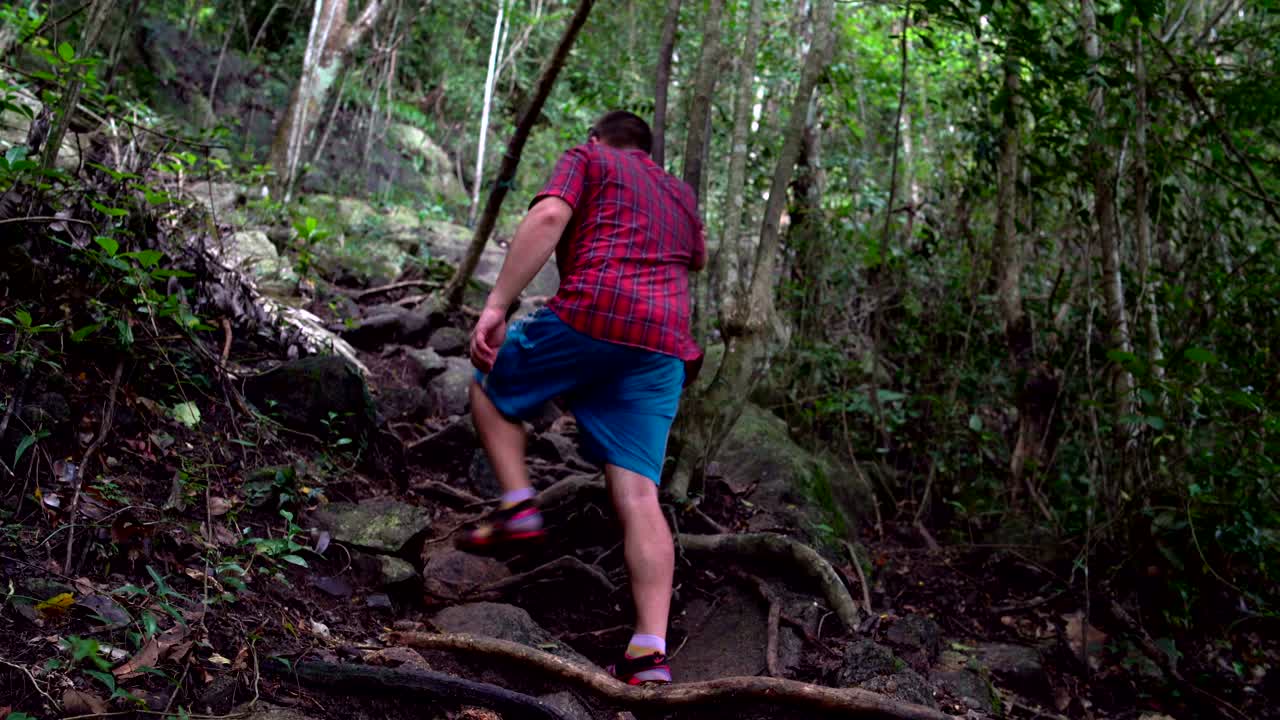 Un hombre escala una montaña a través de las raíces de un árbol.
