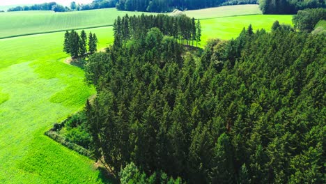 aerial-shot-drone-flight-over-lush-green-forest-in-summer,-4k