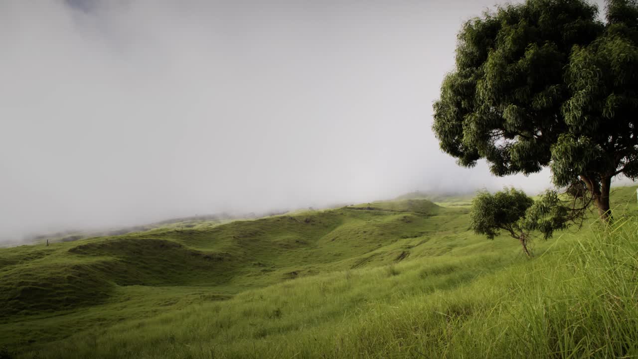 lapso de tiempo de nubes y niebla moviéndose sobre campos verdes en la isla de molokai hawaii