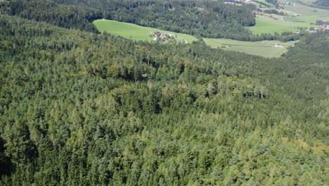 aerial shot of village far away from in the middle of forest in lavamünd