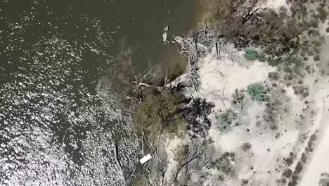 Toma-Aérea-De-Drones-De-Naturaleza-Al-Aire-Libre-De-Agua-Fangosa-Fauna-Del-Río-Interior-Seco