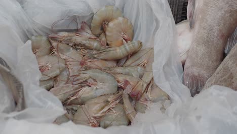 fresh shrimp on ice at a seafood market