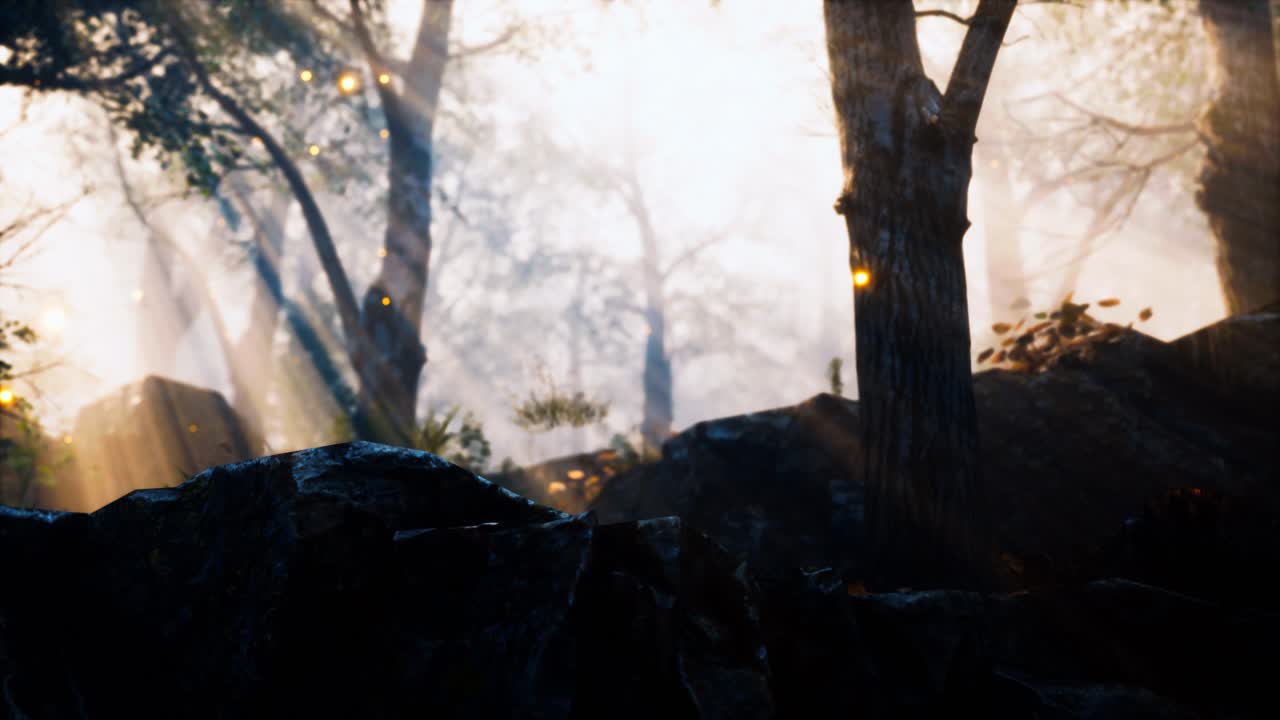 밝은 달빛으로 높은 곳에 있는 앞쪽