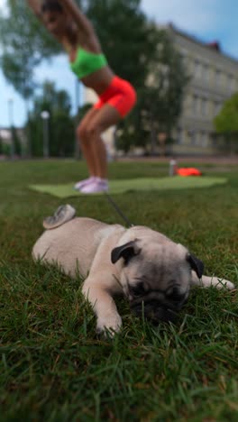 dog watching woman do yoga in park