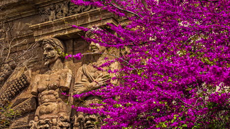 purple bougainvillea climbing on a facade of ancient building with statues