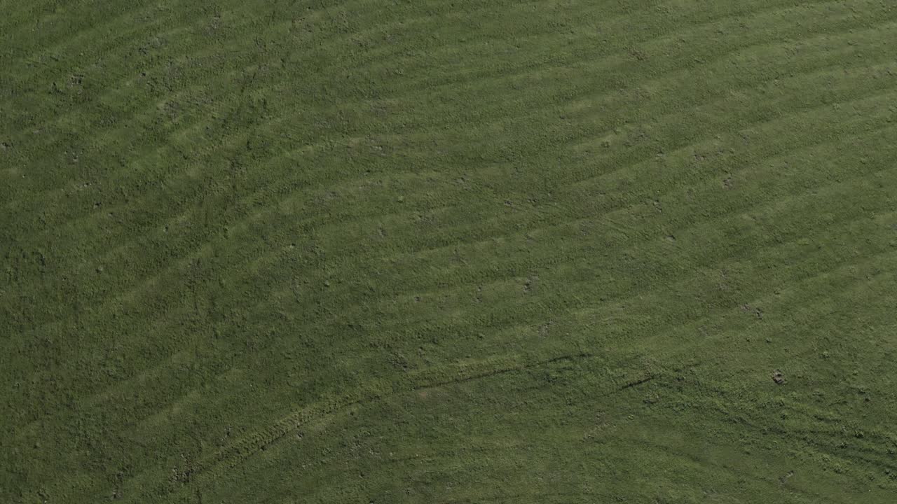 antena desciende a un gran césped verde con patrones de siega