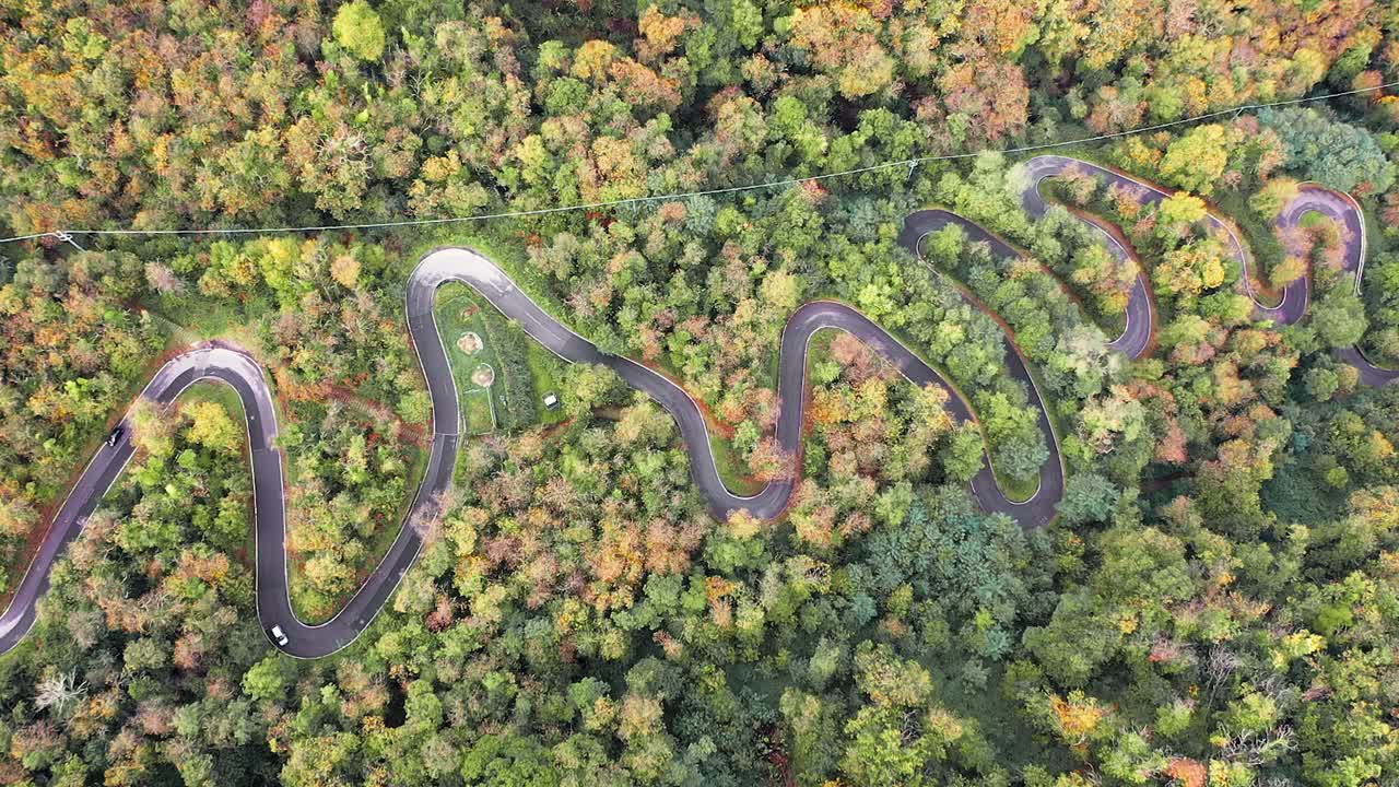 vista aérea de drones de autos conduciendo en un camino forestal con curvas a través de un idílico bosque otoñal con impresionantes colores otoñales - 4k italia