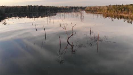 volando sobre un lago liso como un vidrio hacia un árbol que se asemeja a cuernos, inclinándose hacia abajo mientras la cámara pasa sobre el árbol
