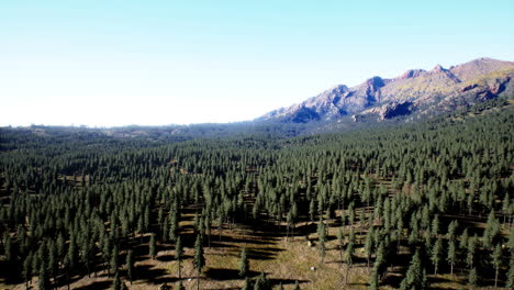 cascade mountain and surrounding canadian rocky mountains in summer time