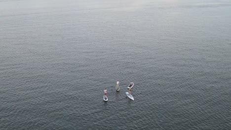 amigos durante el stand up paddle en un sereno paisaje marino