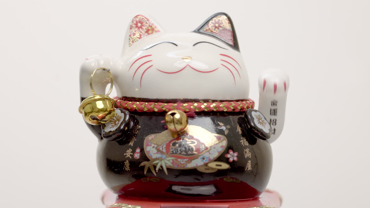 el gato de la suerte manejo agita