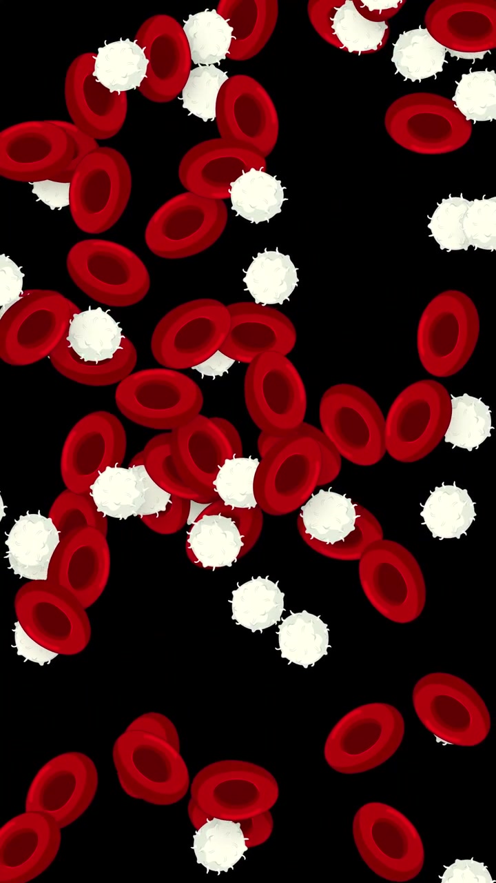 Microscopic red and white blood cells fall vertically against a solid black background.