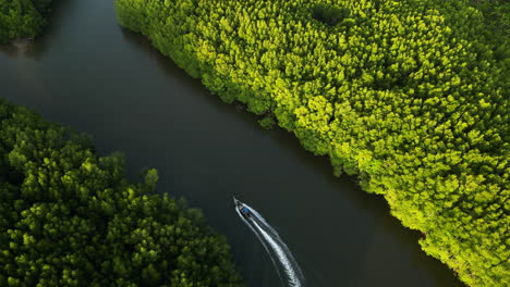 Beautiful-long-tail-boat-shot-cruising-through-mangroves-at-sunset,-Thailand