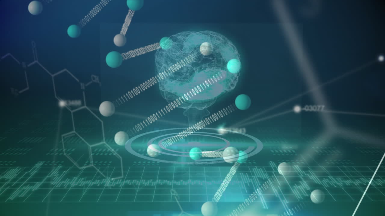 기술과 데이터 프로세싱으로 뇌의 애니메이션