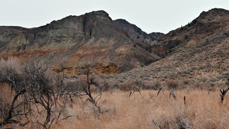 Aerial-View-of-Cinnamon-Ridge-Volcanic-Spires