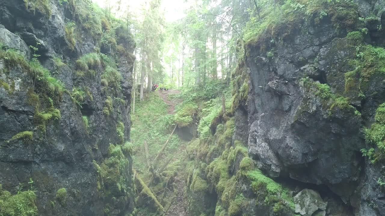 un desfiladero rocoso en un bosque exuberante