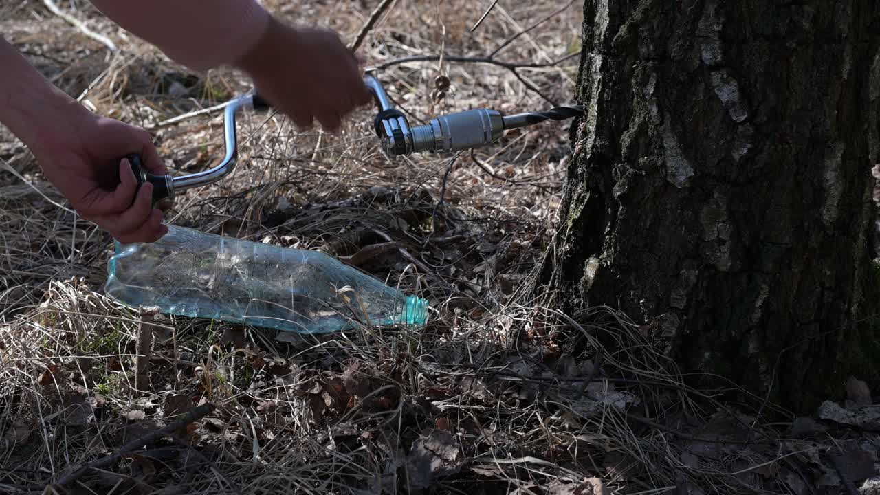 macho caucásico extraer agua de abedul de la savia de jugo saludable de abedul con minerales y antioxidantes estilo de vida fuera de la red