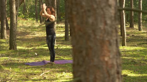 yoga en el hermoso bosque fresco de polonia -wide