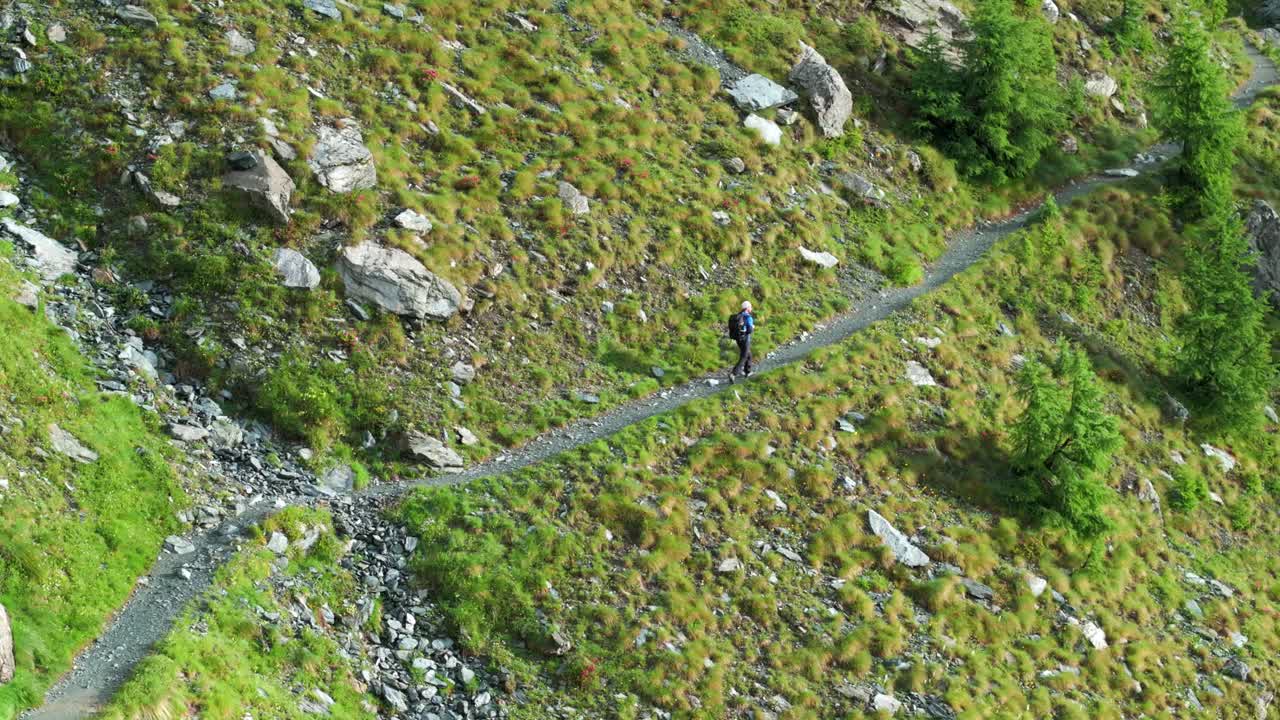 Hiker walking along alpine path during summer season