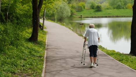 elderly woman walking in a park with a walker