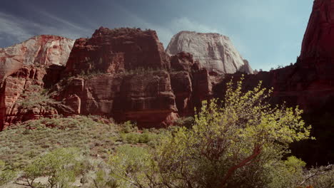 zion national park scenery