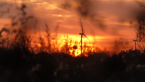 a wind turbine silhouetted against a vibrant orange sunset, with soft vegetation in the foreground, creating a serene and sustainable energy scene