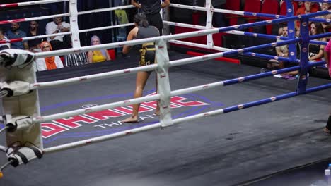 a female fighter bows and prepares for match