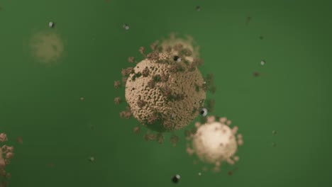 virus coronavirus microscópico covid 19 célula ncov infección corona macro