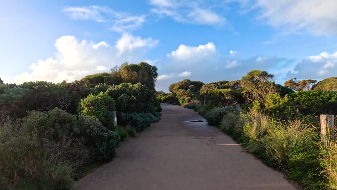 밝은 파란 하늘 아래 울창한 초록색으로 둘러싸인 경치 좋은 길
