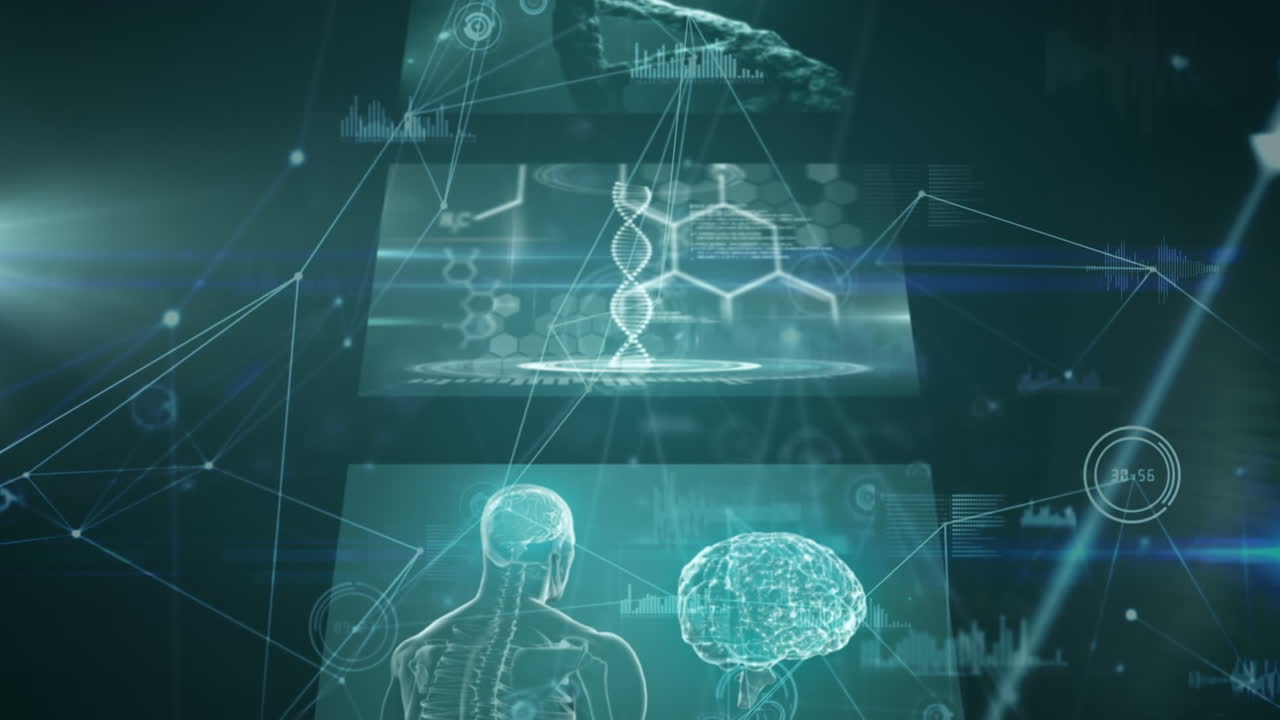 의료 데이터 처리의 디지털로 생성된 비디오