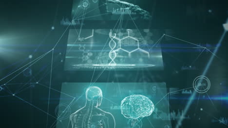 vídeo generado digitalmente del procesamiento de datos médicos