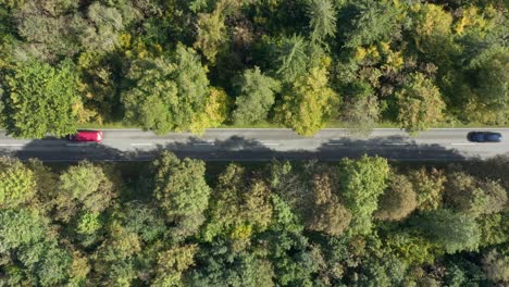 Toma-Aérea-Lenta-De-Un-Paisaje-Otoñal-De-Un-Bosque-Con-Camiones-Que-Pasan-Por-La-Calle-Central,-Concepto-Para-Viajar-En-La-Temporada-De-Otoño