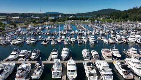 aerial view flying straight over many docked boats in a marina