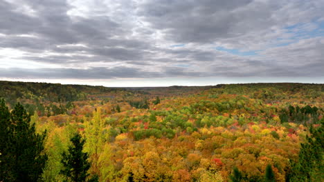 Un-Dron-Lento-Disparó-Dejando-El-Interior-De-Un-Bosque-A-Una-Vista-Increíble-De-Un-Valle-Fluvial-En-Color-Otoñal