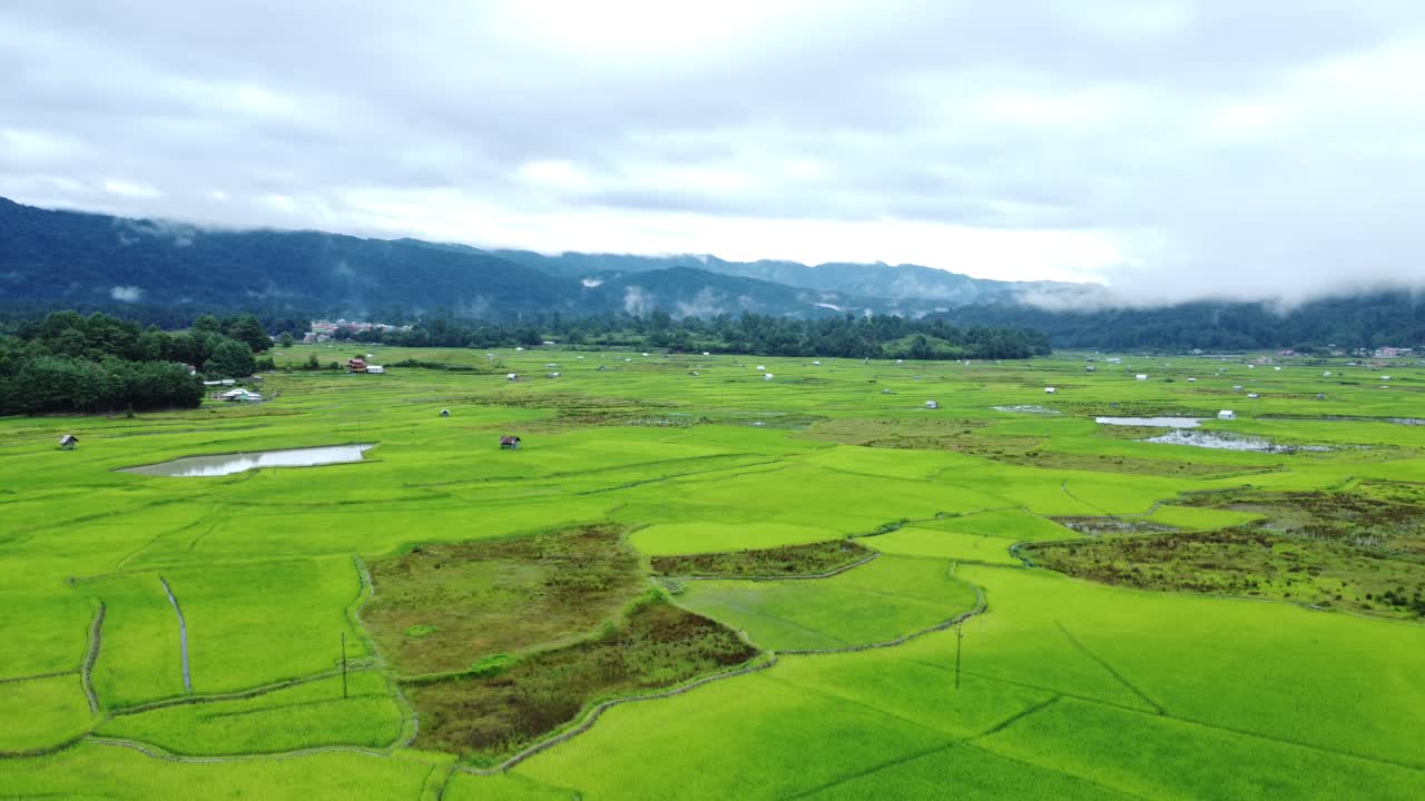 взгляд с воздуха на рисовое поле в аруначал-прадеш